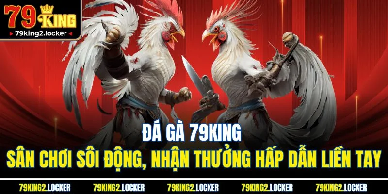 Đá Gà 79king 1 Đá gà 79king - Sân chơi sôi động, nhận thưởng hấp dẫn liền tay