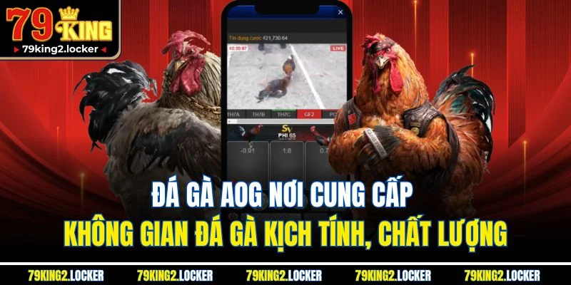 Đá Gà 79king 3 Đá gà AOG nơi cung cấp không gian đá gà kịch tính, chất lượng