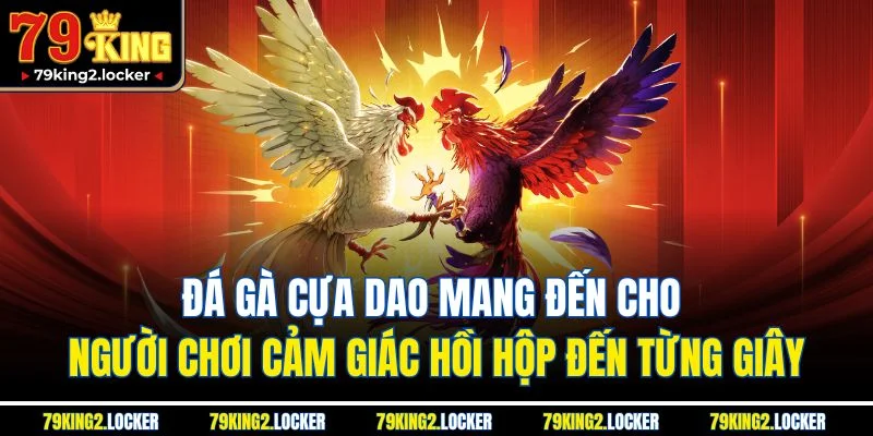 Đá Gà 79king 4 Đá gà cựa dao mang đến cho người chơi cảm giác hồi hộp đến từng giây
