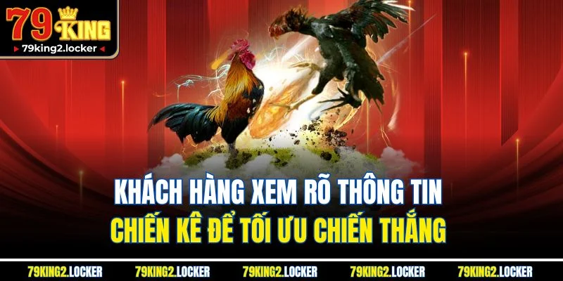 Đá Gà 79king 5 Khách hàng xem rõ thông tin chiến kê để tối ưu chiến thắng